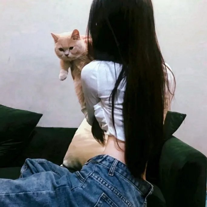 超脑少年团第二季