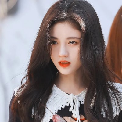雏菊