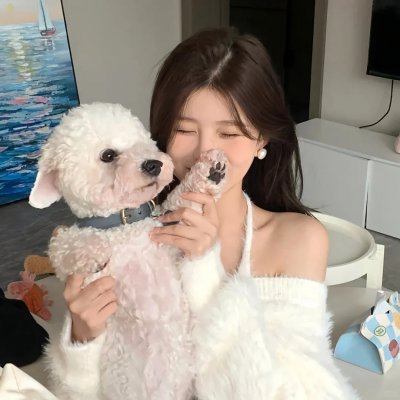 爱情动物